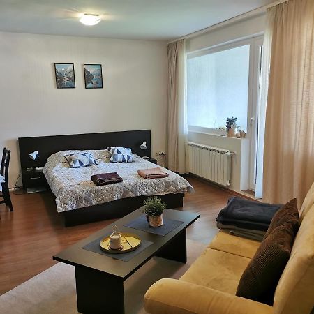 Sunny Studio Apartment - Few Steps From Gondola Bansko Buitenkant foto
