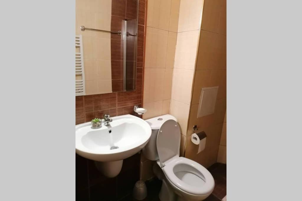 Sunny Studio Apartment - Few Steps From Gondola Bansko Buitenkant foto