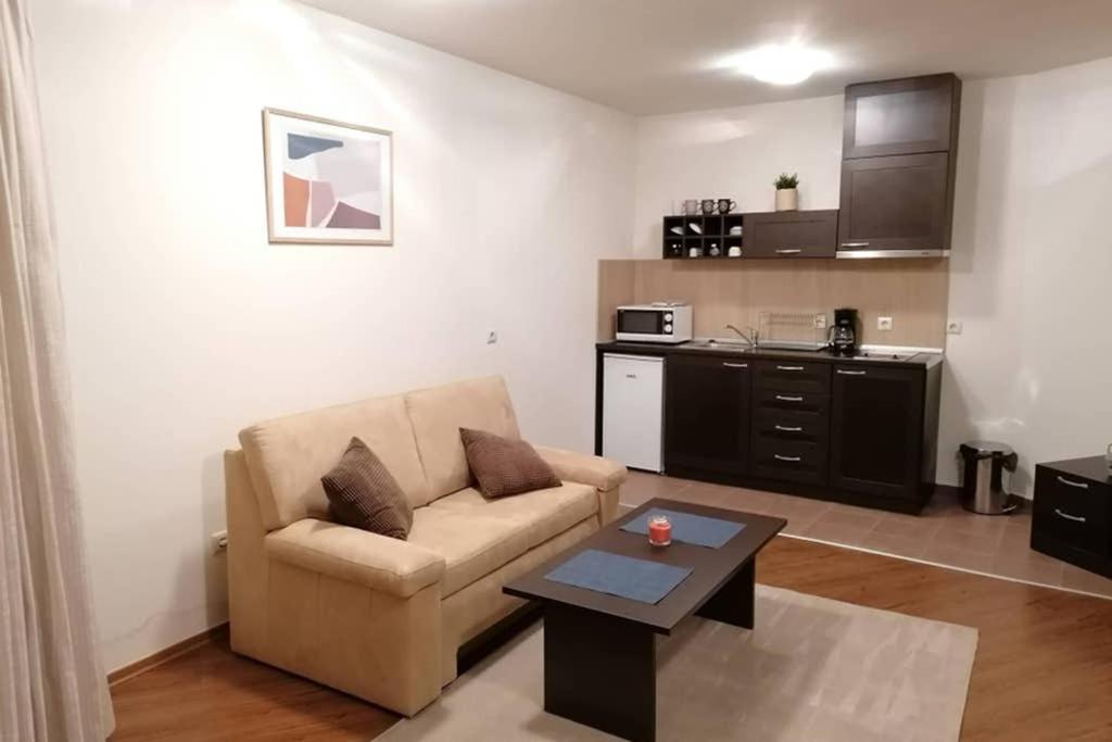 Sunny Studio Apartment - Few Steps From Gondola Bansko Buitenkant foto