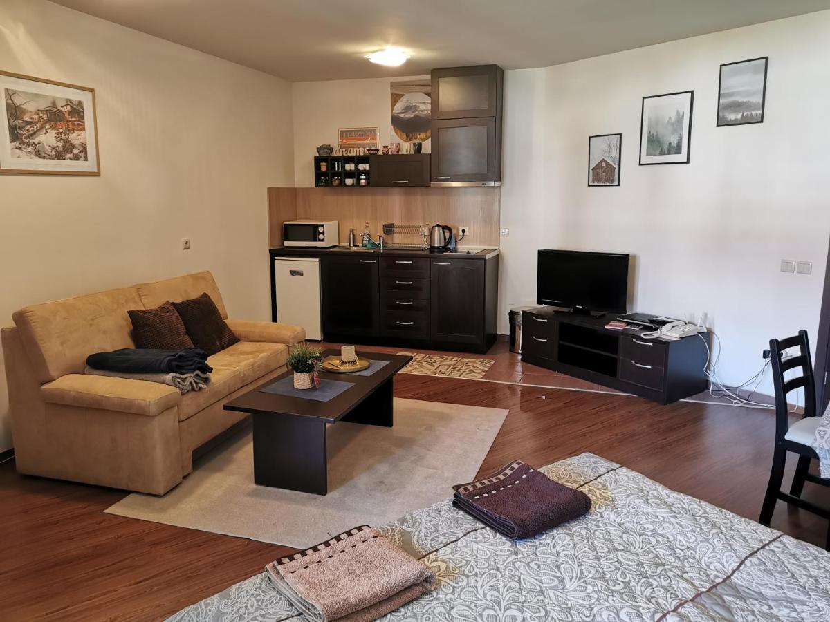 Sunny Studio Apartment - Few Steps From Gondola Bansko Buitenkant foto